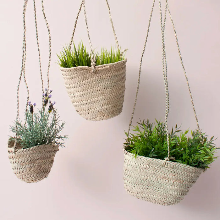 Tiny Hanging Planter Basket
