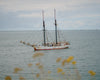 Sailboat at sea, coming to port, with a cloudy sky