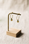 Gold hoop earrings on a wooden stand against a beige background