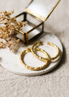 Gold hoop earrings on a white coaster with dried flowers and a gold jewellery box in the background.