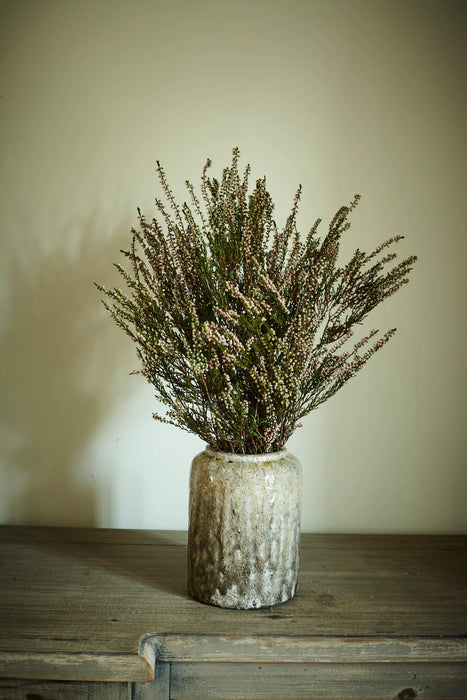 Preserved Heather | Natural Pink