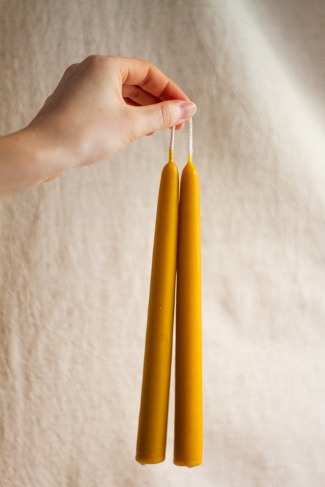 Beeswax Dinner Candles