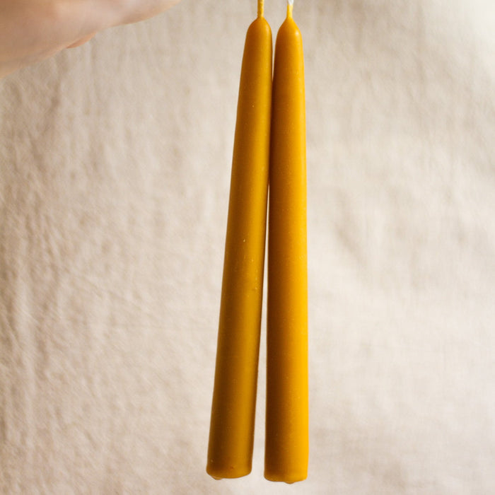 Beeswax Dinner Candles