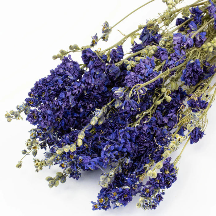 Dried Delphinium | Natural Blue
