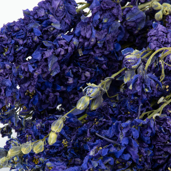 Dried Delphinium | Natural Blue
