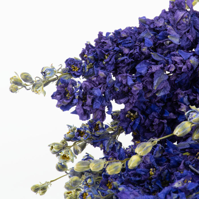 Dried Delphinium | Natural Blue