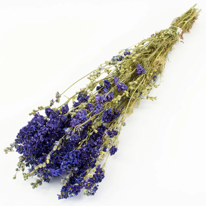 Dried Delphinium | Natural Blue