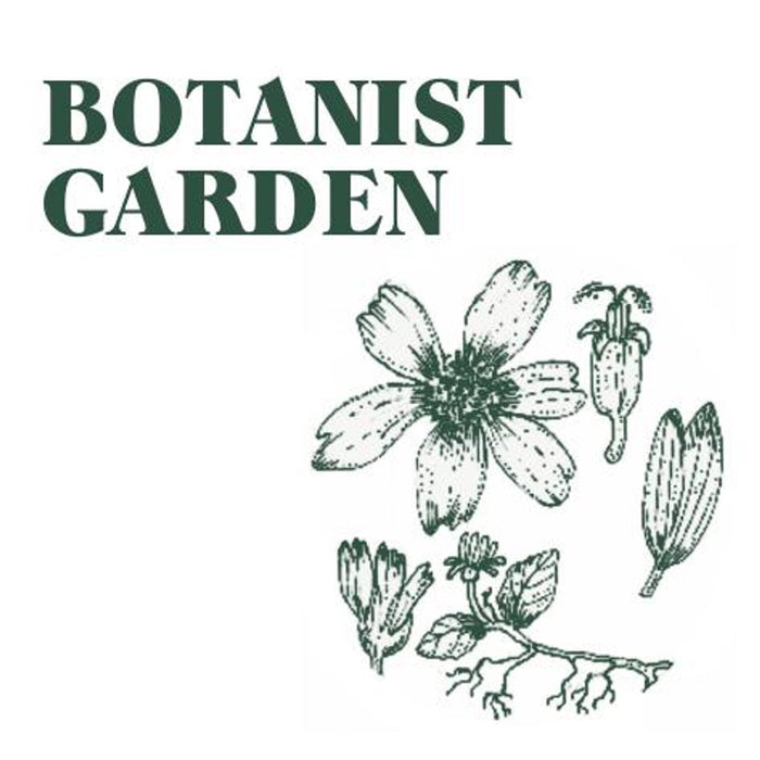 Botanical Tealight Candles