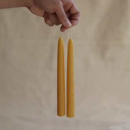 Two beeswax dinner candles held by a hand against a beige background