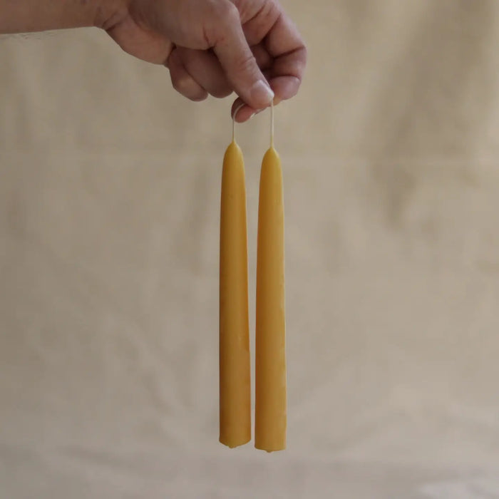 Two beeswax dinner candles held by a hand against a beige background