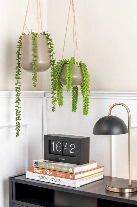 Small Hanging Planter