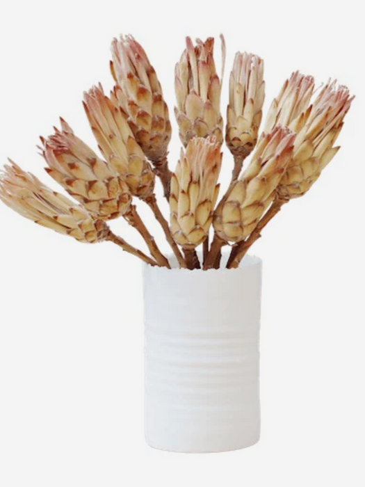 Dried Sugarbush (Protea Compacta) Bunch - Pink/Cream