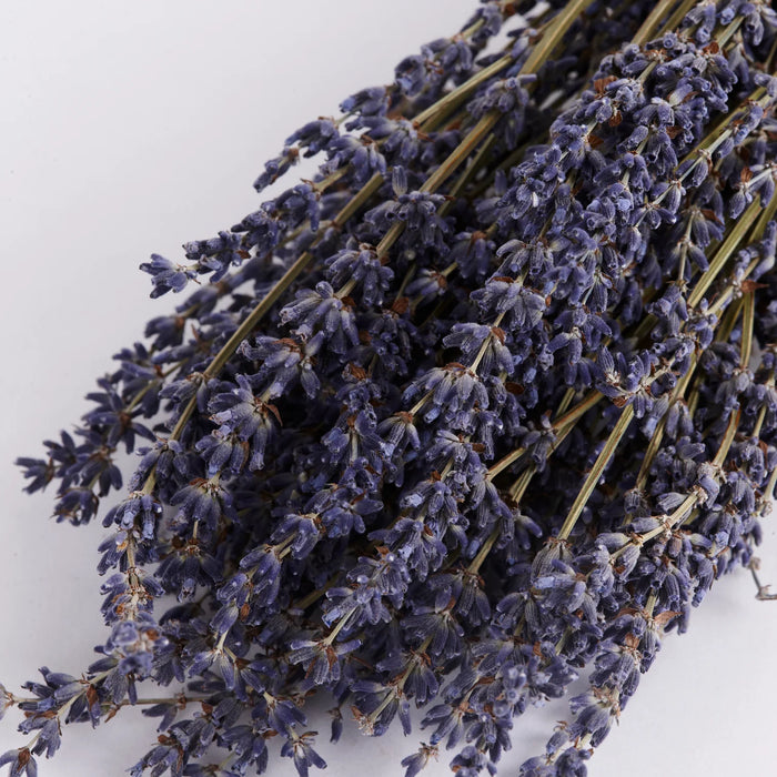 Dried Organic Lavender - Natural Blue