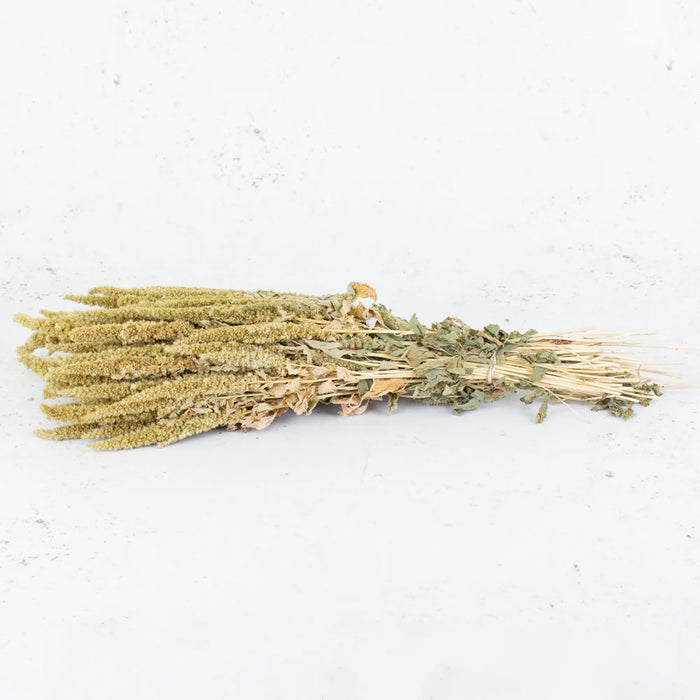 Dried Amaranthus - Natural Green