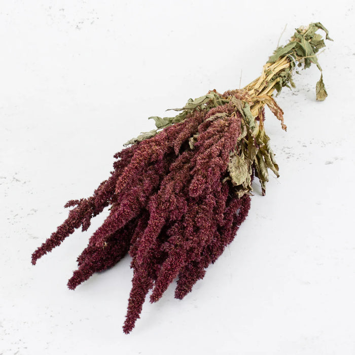Dried Amaranthus - Red