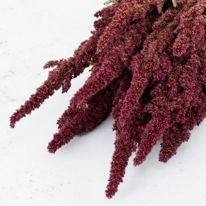 Dried Amaranthus - Red