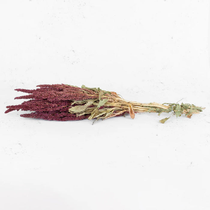 Dried Amaranthus - Red