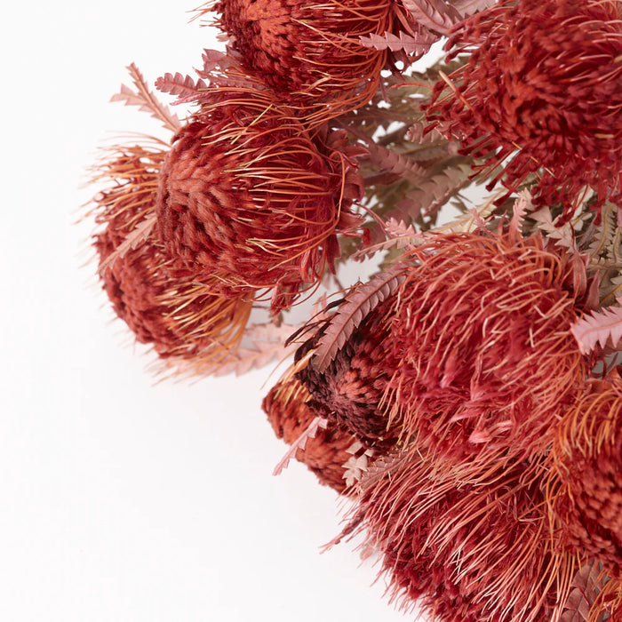 Dried Banksia Dryandra (Dipped Erica)