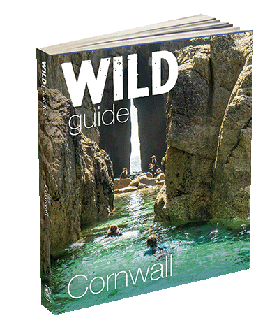 Wild Guide Cornwall Book