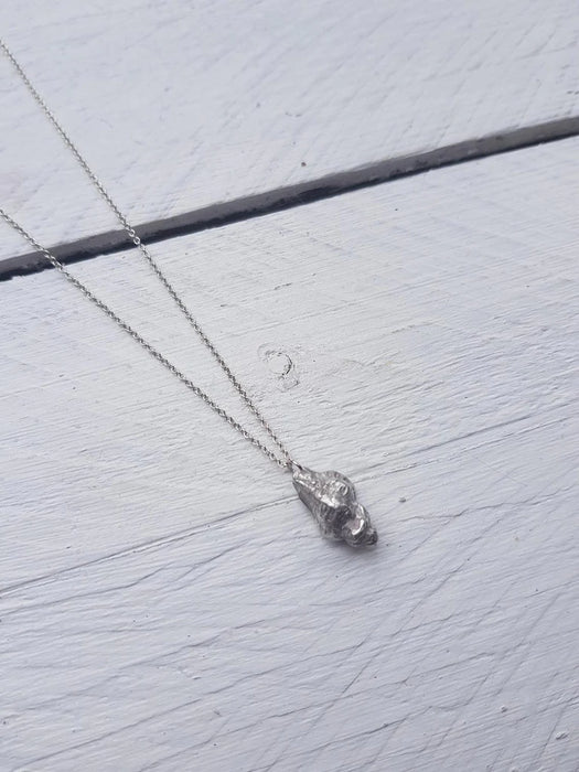 Silver Sea Shell Necklace