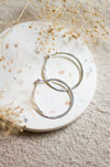 Silver hoop earrings on a textured surface with dried flowers