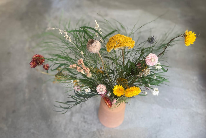 Dried Flowers & Seed Sets