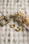 A pair of small gold hoop earrings, laying next to a glass and brass jewellery box and  dried flowers, on a neutral gingham surface