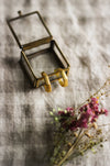 A pair of small gold hoop earrings inside a glass and brass box, laying next to pink dried flowers, on a neutral gingham surface