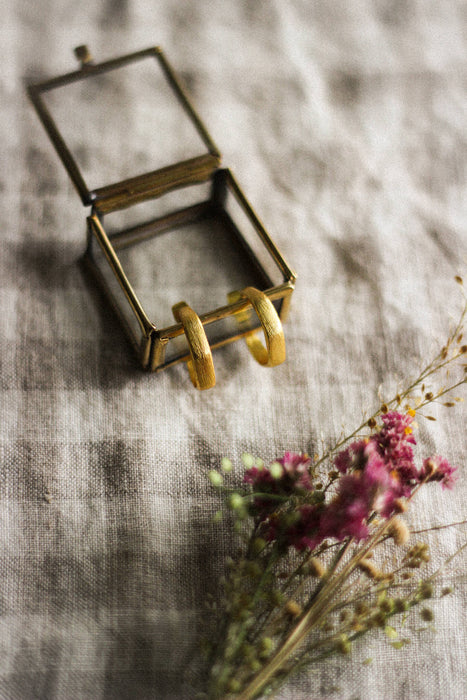 A pair of small gold hoop earrings inside a glass and brass box, laying next to pink dried flowers, on a neutral gingham surface