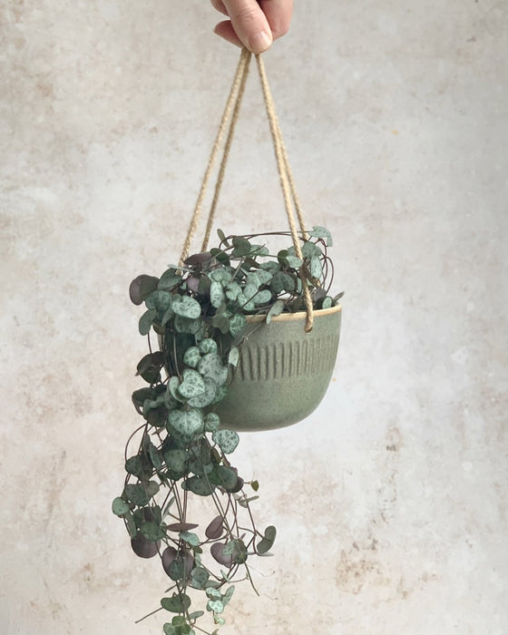 Hand Thrown Hanging Planter - Medium