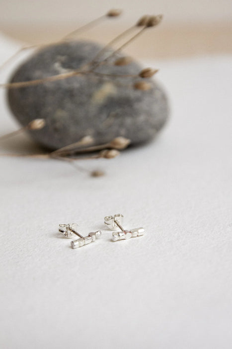 Silver Nerth Studs