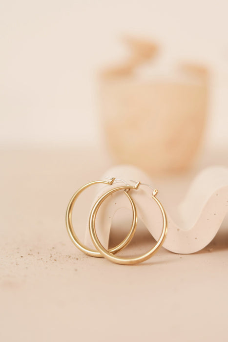 Daphne Brass and Silver Hoop Earrings