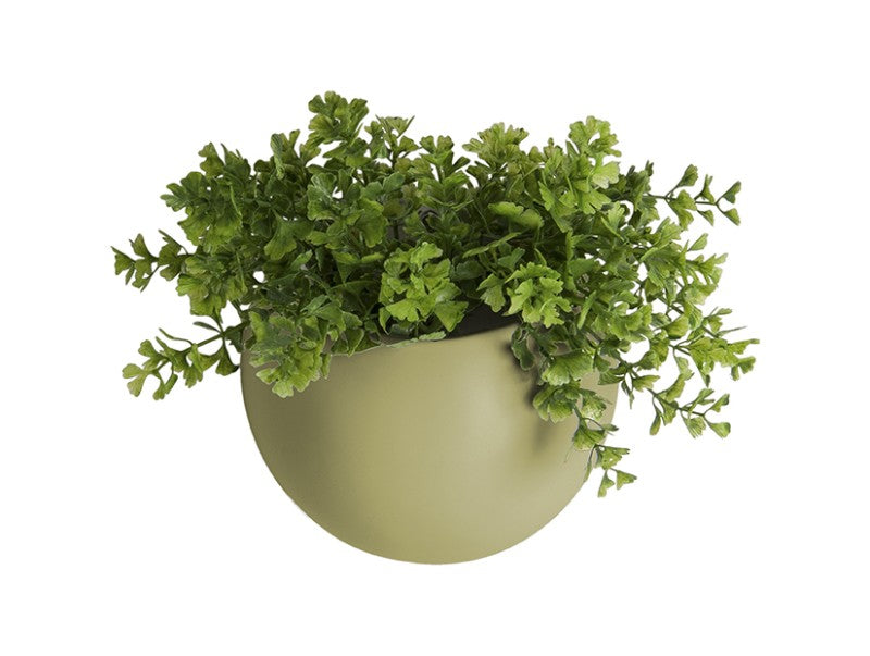 Globe Oval Ceramic Wall Planter - Choice of Colours