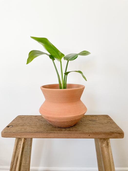 Nilo Terracotta Pot
