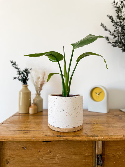 eco indoor plant pots Handmade Flecked Eco Resin & Reclaimed Wood Plant Pot– The Painted Bird