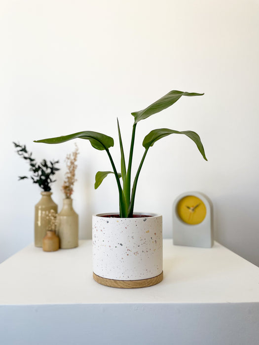 Handmade Flecked Eco Resin & Reclaimed Wood Plant Pot