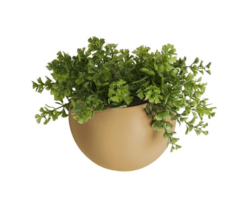 Globe Oval Ceramic Wall Planter - Choice of Colours